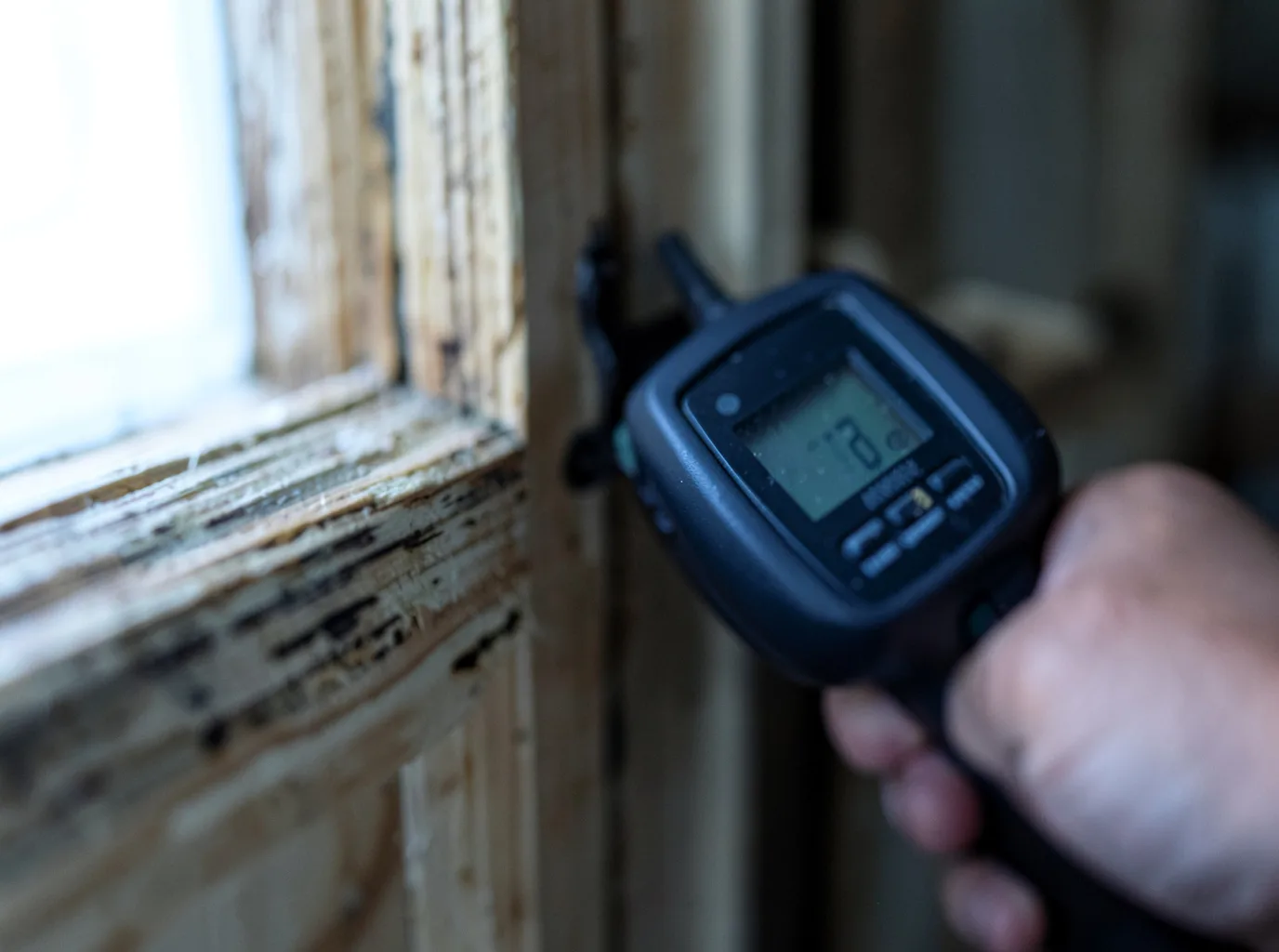 Moisture Inspection And Documentation in Guilford, NY